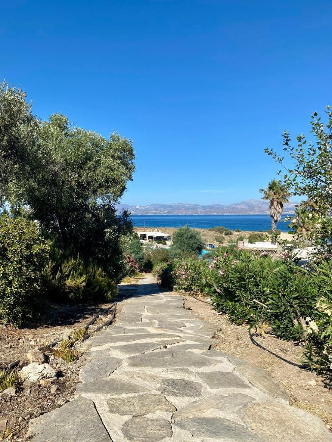 Iliopetra Studios Chrisi Akti (Paros) Exterior foto