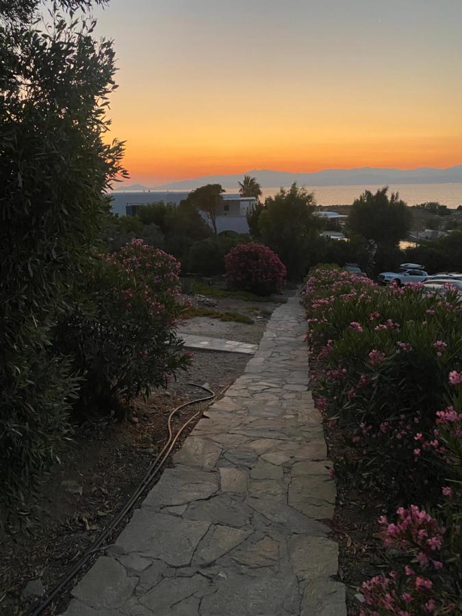 Iliopetra Studios Chrisi Akti (Paros) Exterior foto