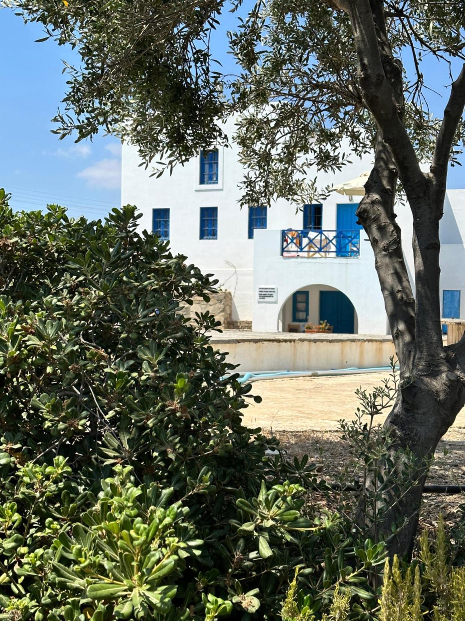 Iliopetra Studios Chrisi Akti (Paros) Exterior foto